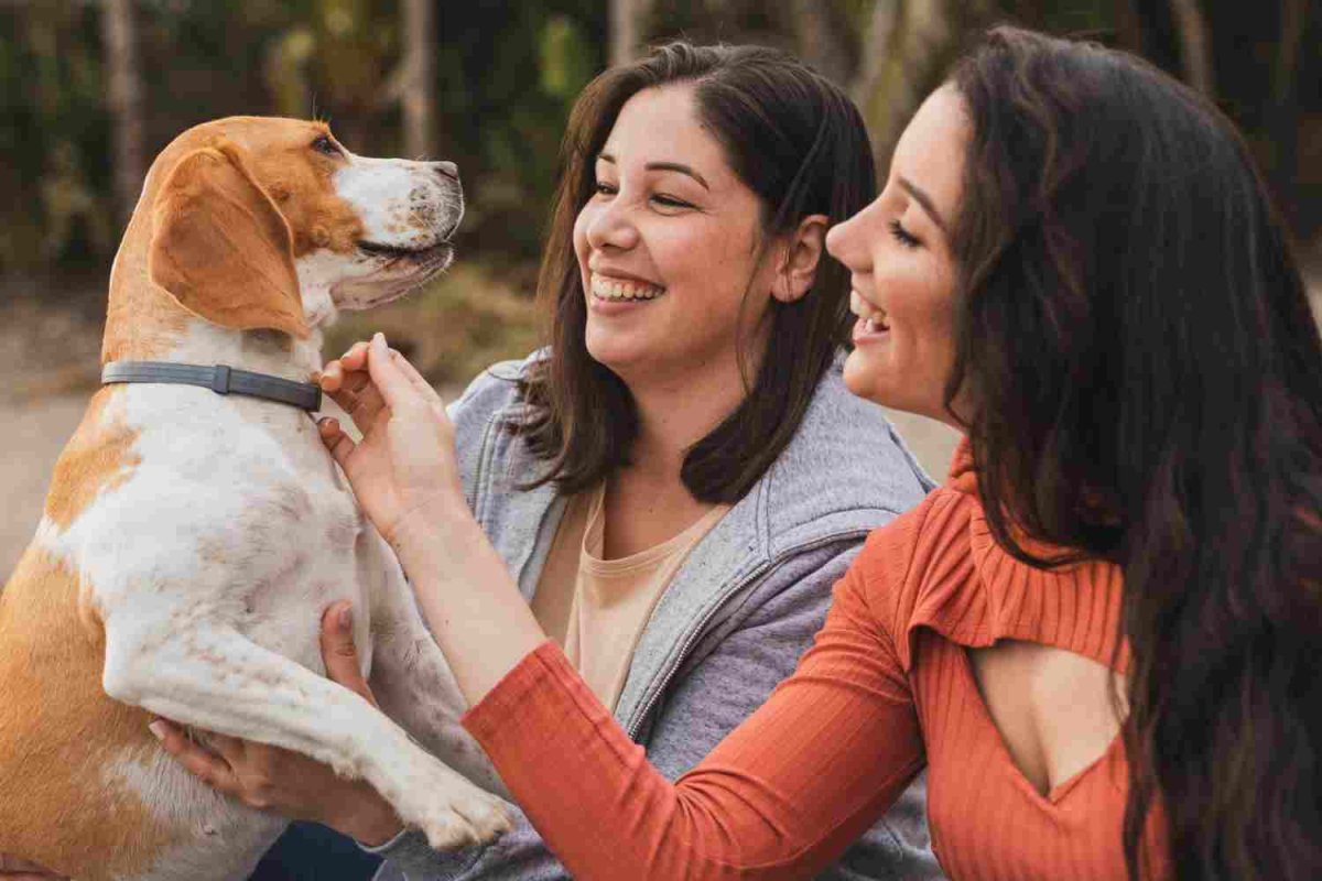 Dia do Amigo: Neurobiologia explica a lealdade interespécie e impulsiona mercado pet de R$ 80 bilhões no Brasil