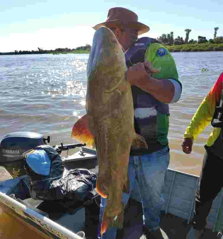 Jaú de 1,30 metro garante prêmio especial no Festival Internacional de Pesca Esportiva de Cáceres