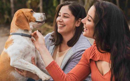 Dia do Amigo: Neurobiologia explica a lealdade interespécie e impulsiona mercado pet de R$ 80 bilhões no Brasil