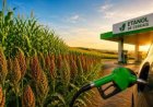 Expansão do etanol de cereais abre fronteiras para milho e sorgo no Brasil