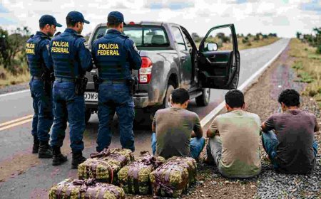 PF prende três pessoas transportando maconha em Ponta Porã/MS
