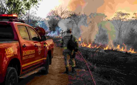MT registra redução histórica de focos de calor em julho; Bombeiros reforçam alerta durante período de estiagem